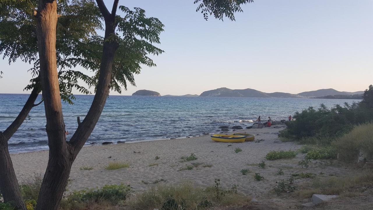 Apartments Bela PalaiónTsiflíkion Εξωτερικό φωτογραφία